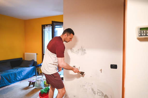 Best Attic Mold Removal  in Wyboo, SC